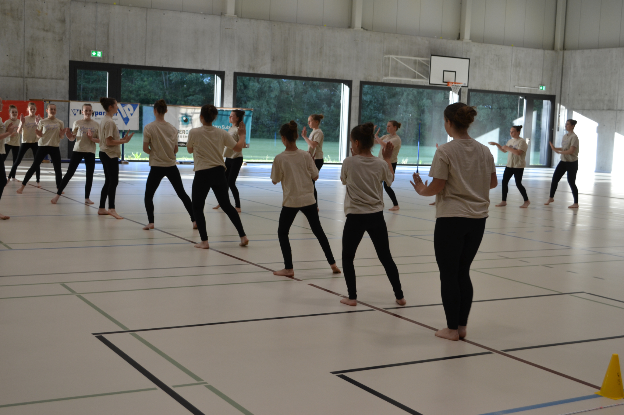 Showturnen (137)